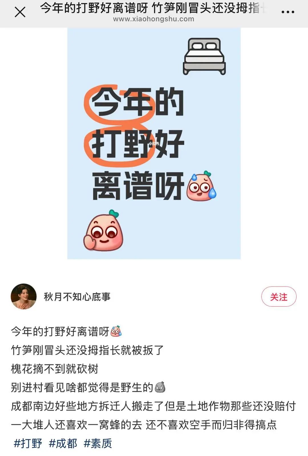 都市人迷上“打野”!游客上龙泉山私摘枇杷令农户困扰 都市人迷上“打野”!游客上龙泉山私摘枇杷令农户困扰