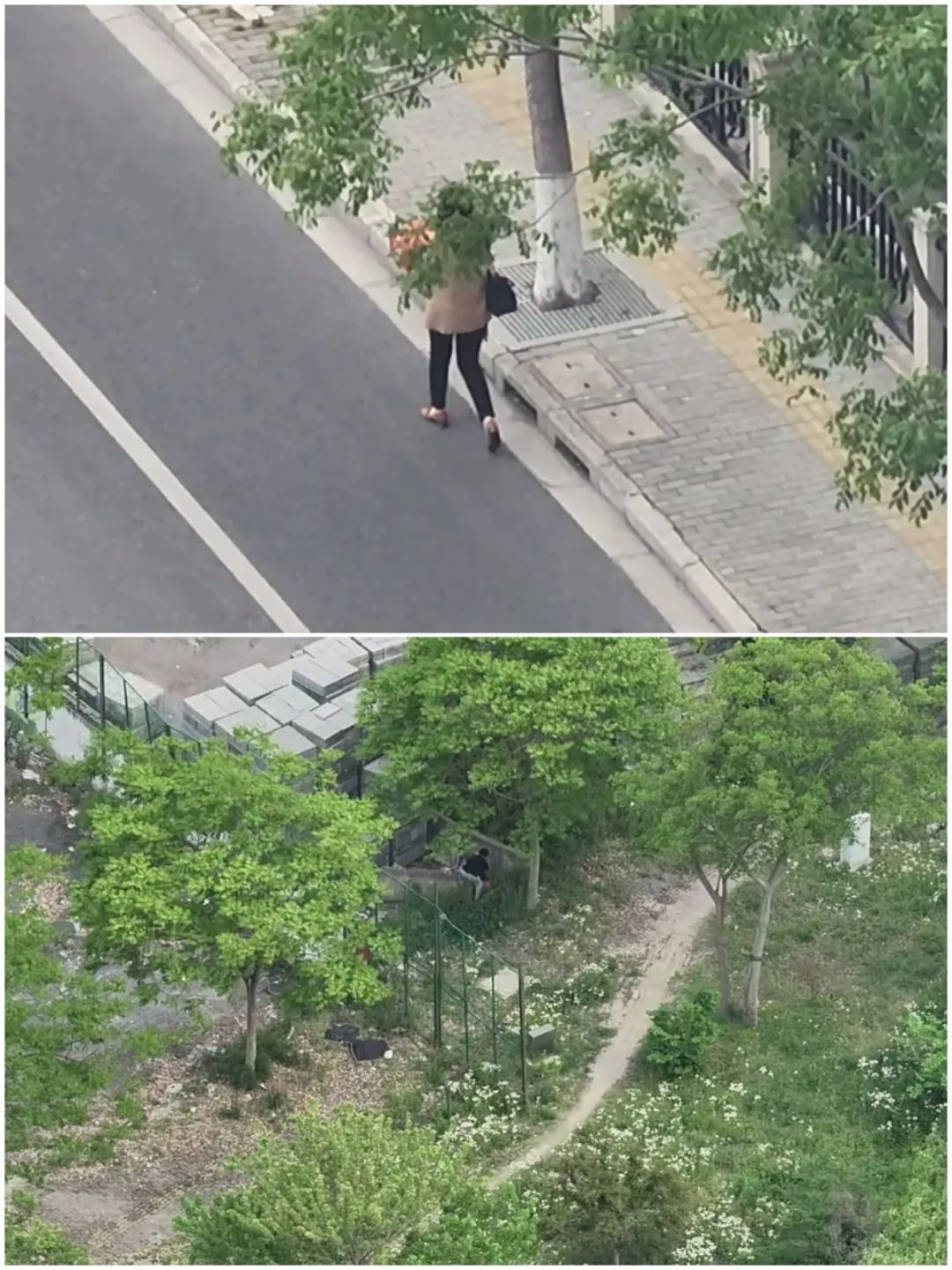 电诈新套路！远程操控受害者将现金埋入隐蔽地点“埋包解冻”，有人准备了12万