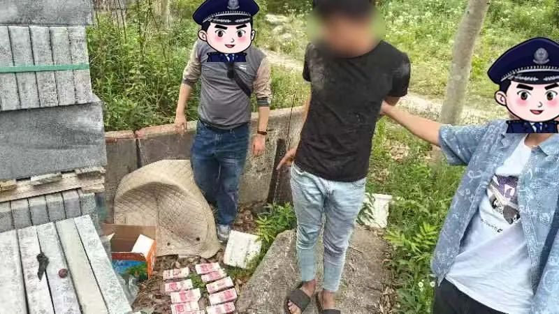 上海有人将现金埋进土里，警方揭露真相！这一犯罪风险再升级