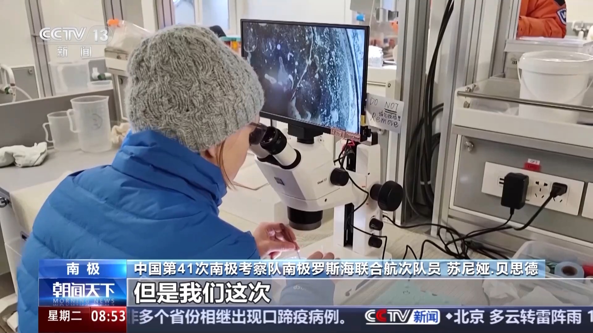 涉及海冰研究、海洋生物等 我国南极科考有了新发现