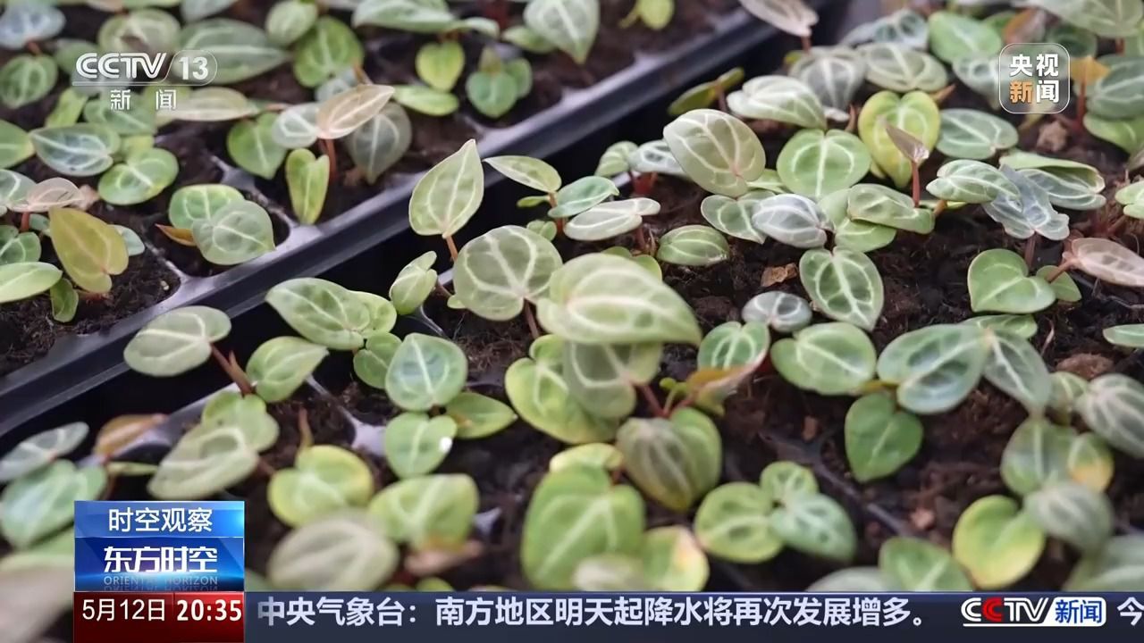 花钱开心 今天你“情绪消费”了吗？