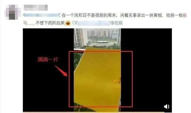 上海大概率已入夏!最近少穿这种颜色的衣服出门,头皮发麻... 上海大概率已入夏!最近少穿这种颜色的衣服出门,头皮发麻...