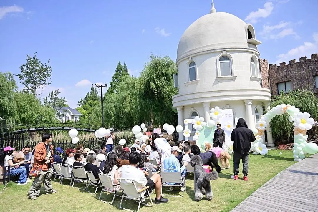 排面拉满!“铲屎官”为狗狗举办婚礼,穿婚纱办仪式,一样都不少 排面拉满!“铲屎官”为狗狗举办婚礼,穿婚纱办仪式,一样都不少