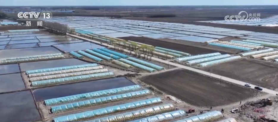 “良种+良机+良法”助力增产增收 希望的田野上绘就如画“丰”景