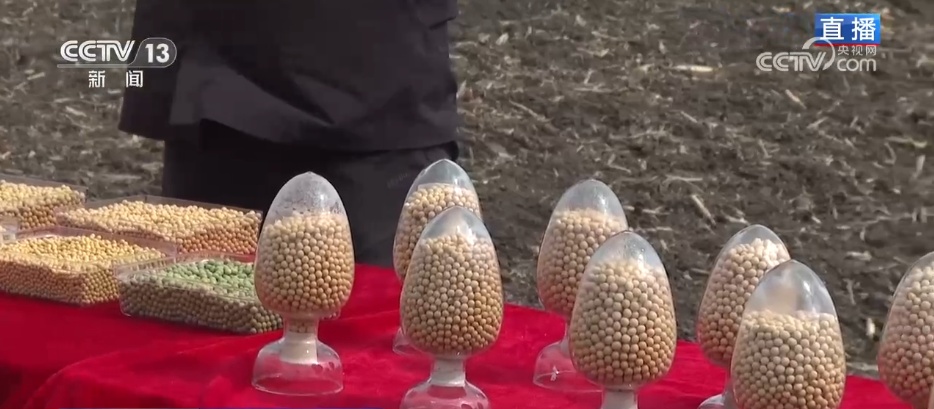 “良种+良机+良法”助力增产增收 希望的田野上绘就如画“丰”景