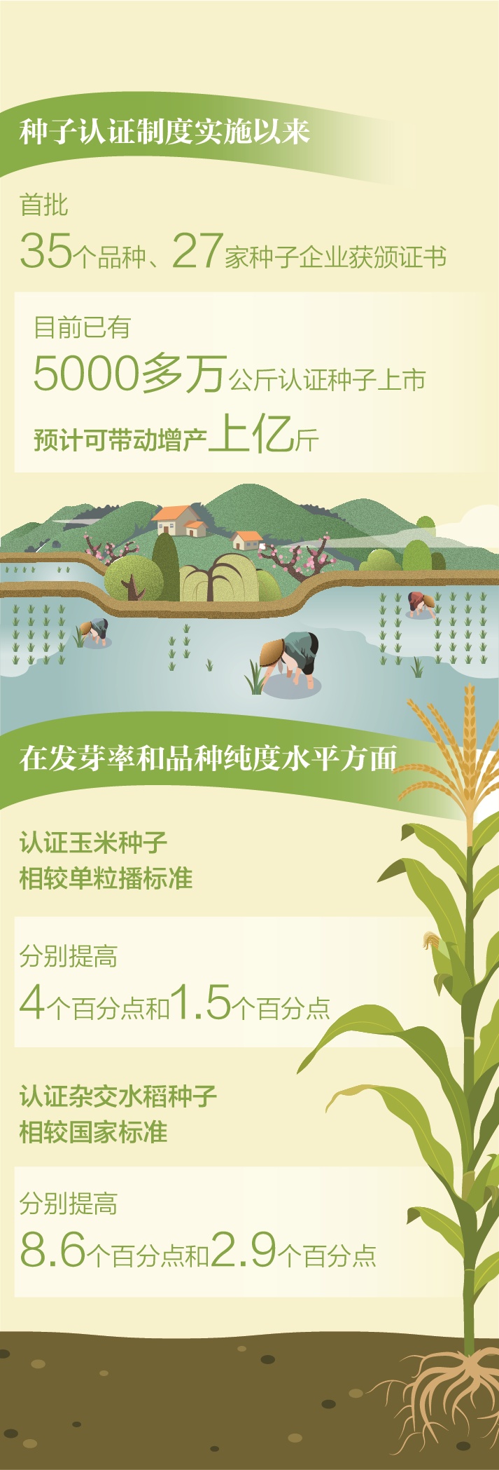 种子里的种子选手，首批“持证上岗”！