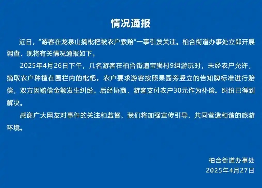 都市人迷上“打野”!游客上龙泉山私摘枇杷令农户困扰 都市人迷上“打野”!游客上龙泉山私摘枇杷令农户困扰