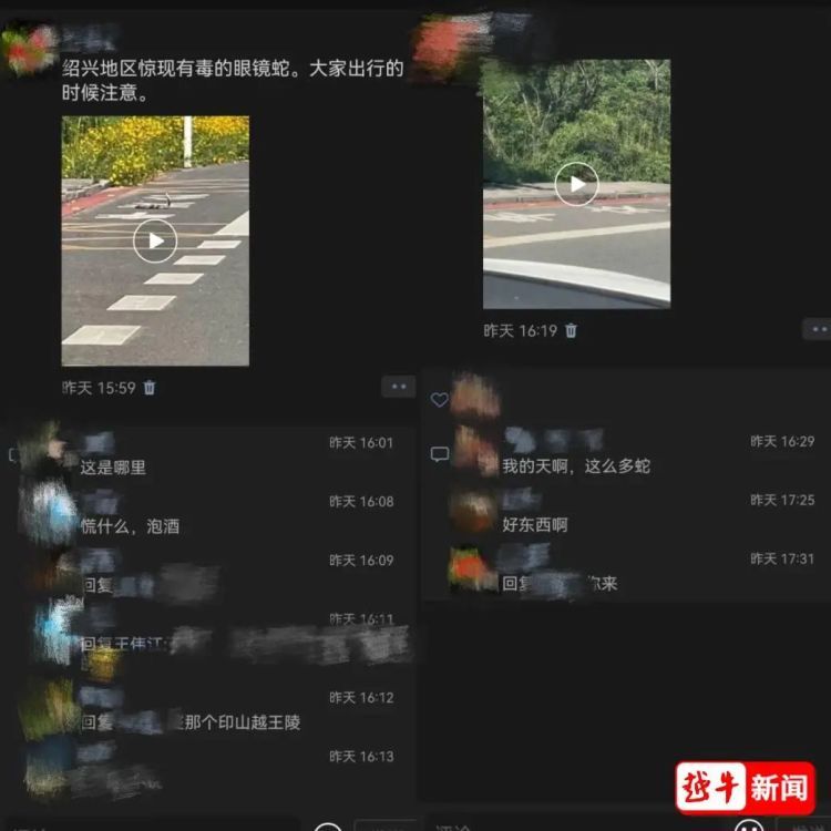 绍兴一景区附近惊现眼镜蛇