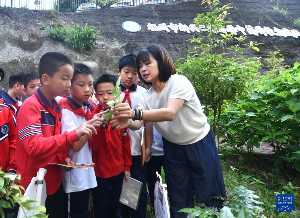 广西梧州:药韵传薪火 科创绘童心 广西梧州:药韵传薪火 科创绘童心