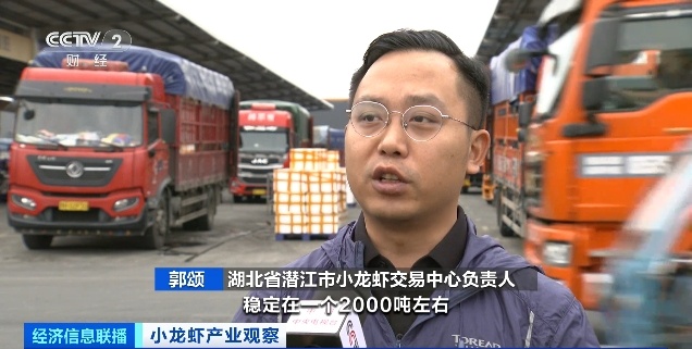 小龙虾价格暴降近50% 小龙虾价格暴降近50%