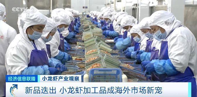 旺季来临销量明显增加  小龙虾加工品成海外市场新宠
