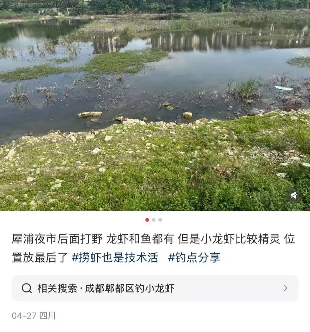 都市人迷上“打野”!游客上龙泉山私摘枇杷令农户困扰 都市人迷上“打野”!游客上龙泉山私摘枇杷令农户困扰