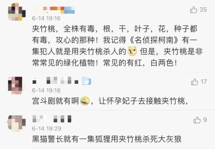 街头夹竹桃开得正美！千万别碰，有毒