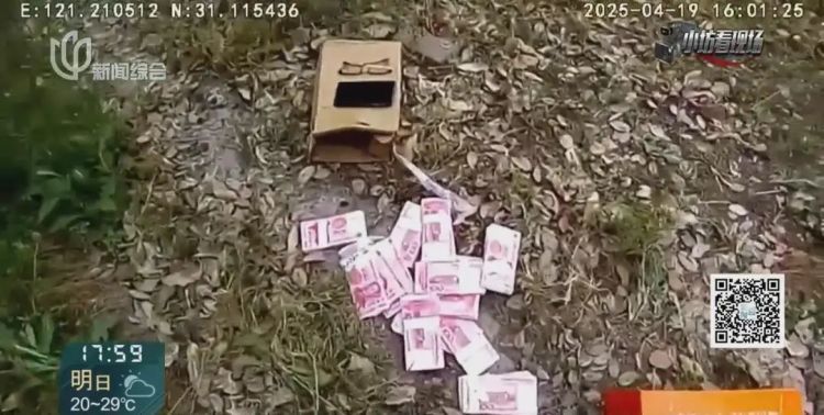 细思古怪！女子将巨额人民币“藏”进土里，特意挑荒郊野外