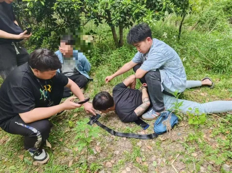 上海有人将现金埋进土里，警方揭露真相！这一犯罪风险再升级