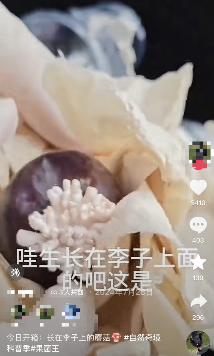 收编“果菌王”后，他们还在全网追“菌”！