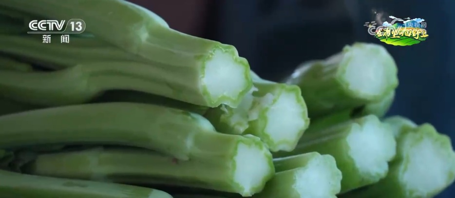 “良种+良机+良法”助力增产增收 希望的田野上绘就如画“丰”景