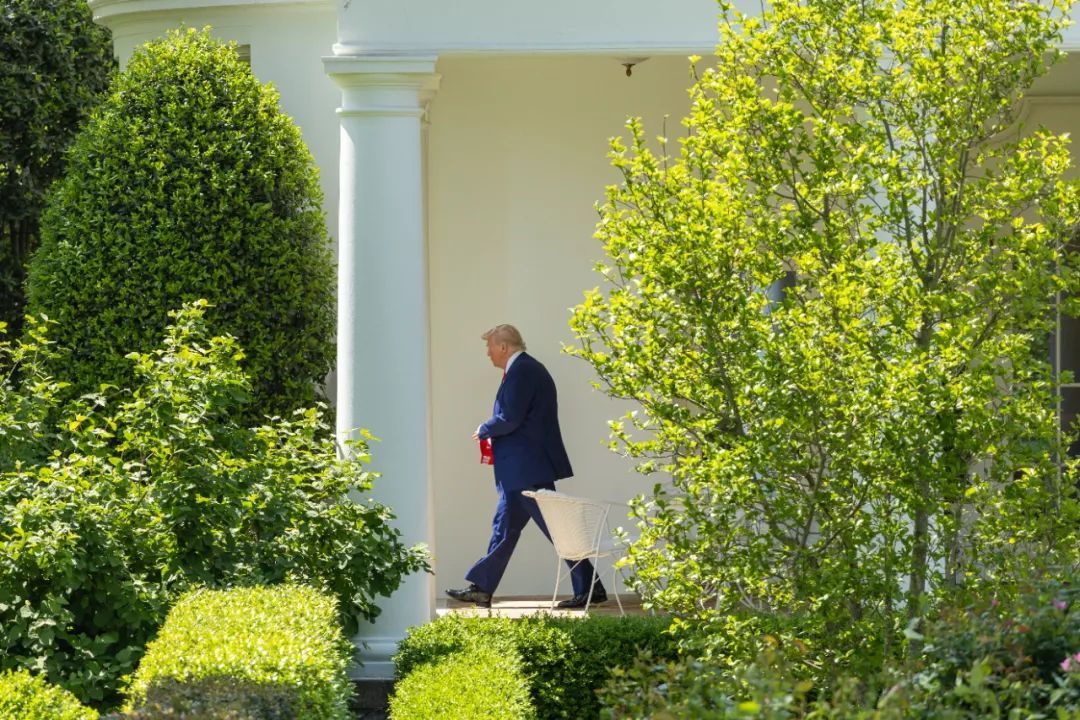 特朗普突然决定:不打了…… 特朗普突然决定:不打了……