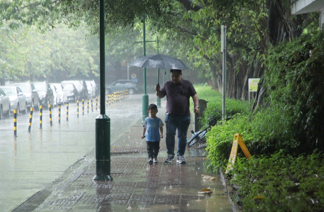 明起广州开启“雨雨雨”模式！周末将有强对流天气