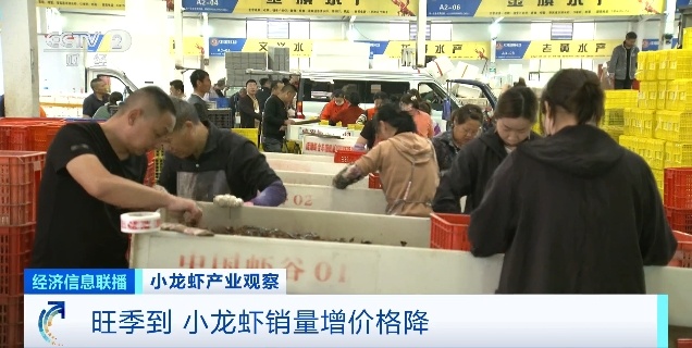 太火爆!价格接近腰斩!别急,还会再降...... 太火爆!价格接近腰斩!别急,还会再降......