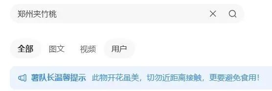 街头夹竹桃开得正美！千万别碰，有毒
