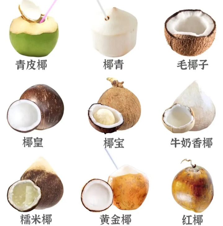 椰子水是“健康顶流”?这几类人真的要少喝 椰子水是“健康顶流”?这几类人真的要少喝