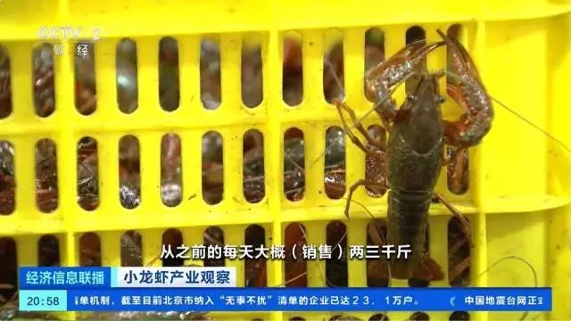 价格大跳水，下跌50%！接下来还会降