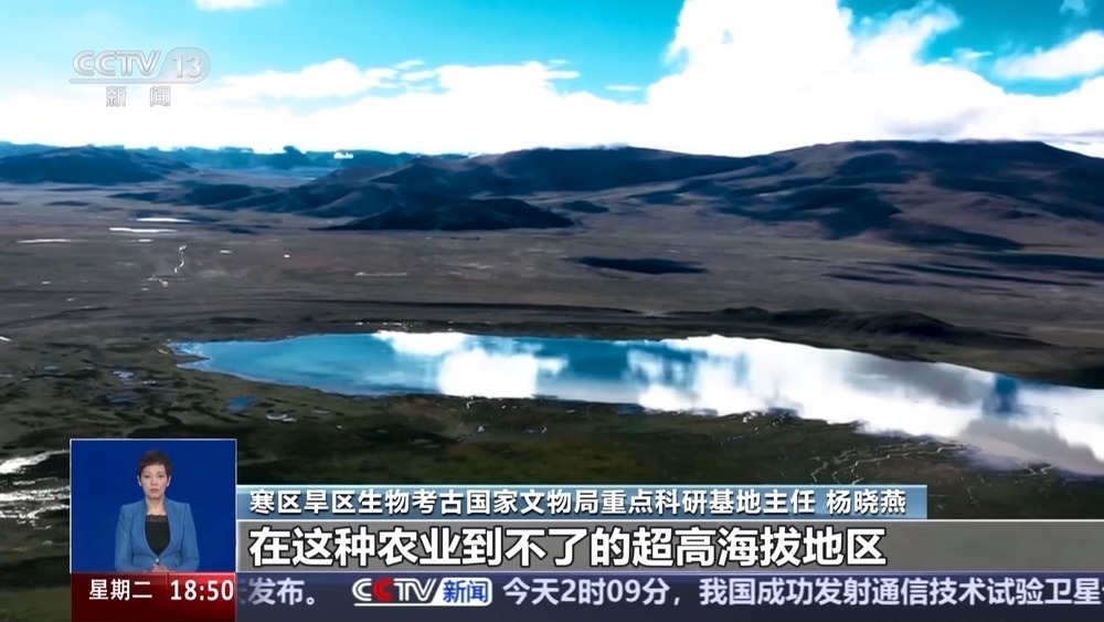 看科技考古如何还原“世界屋脊”西藏玛不错先民生活 看科技考古如何还原“世界屋脊”西藏玛不错先民生活