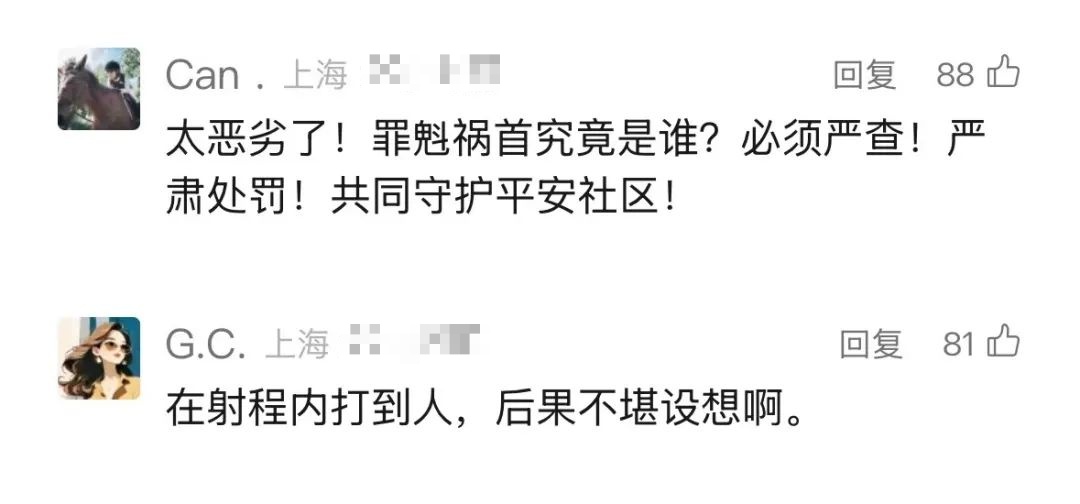 上海警方：李某被采取刑事强制措施！在居民区多次做出危险行为