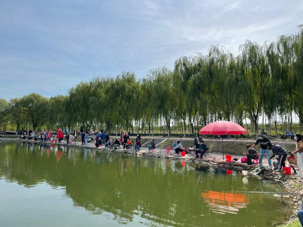 小村新事:小村里的“分红经济学” 小村新事:小村里的“分红经济学”