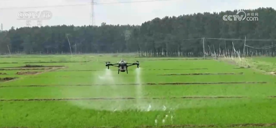 科技赋能农业生产“加速跑” 希望的田野描绘多彩丰收图景 科技赋能农业生产“加速跑” 希望的田野描绘多彩丰收图景