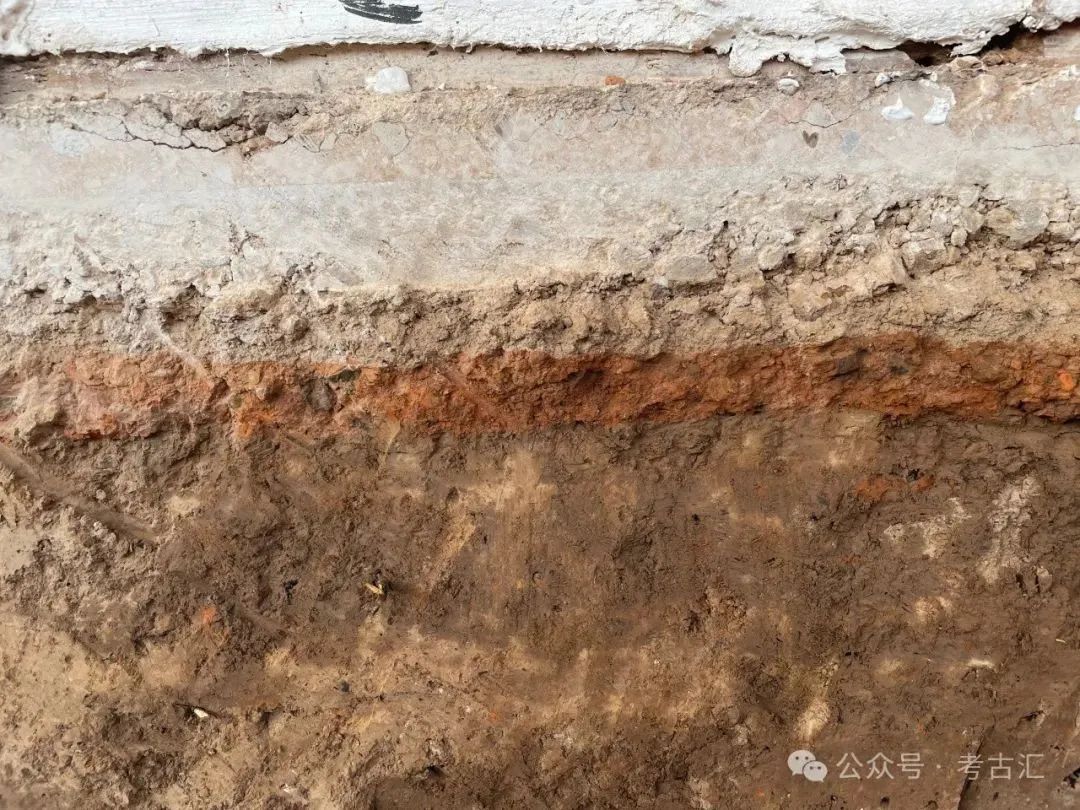 山西考古新发现!玉环,直接证据 山西考古新发现!玉环,直接证据