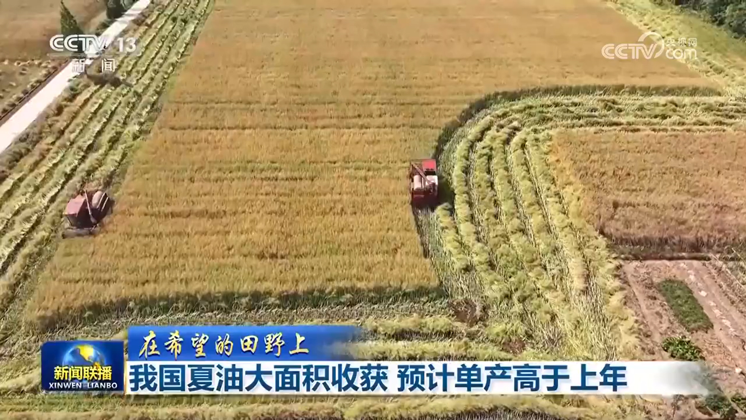 【在希望的田野上】我国夏油大面积收获 预计单产高于上年 【在希望的田野上】我国夏油大面积收获 预计单产高于上年