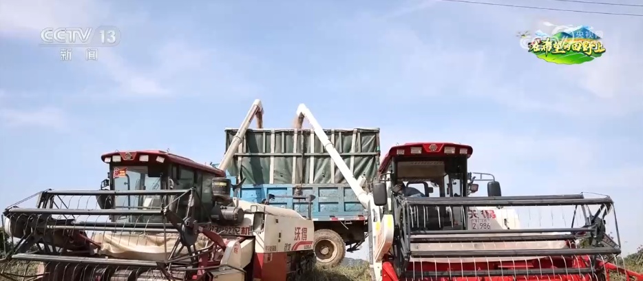 科技赋能农业生产“加速跑” 希望的田野描绘多彩丰收图景 科技赋能农业生产“加速跑” 希望的田野描绘多彩丰收图景