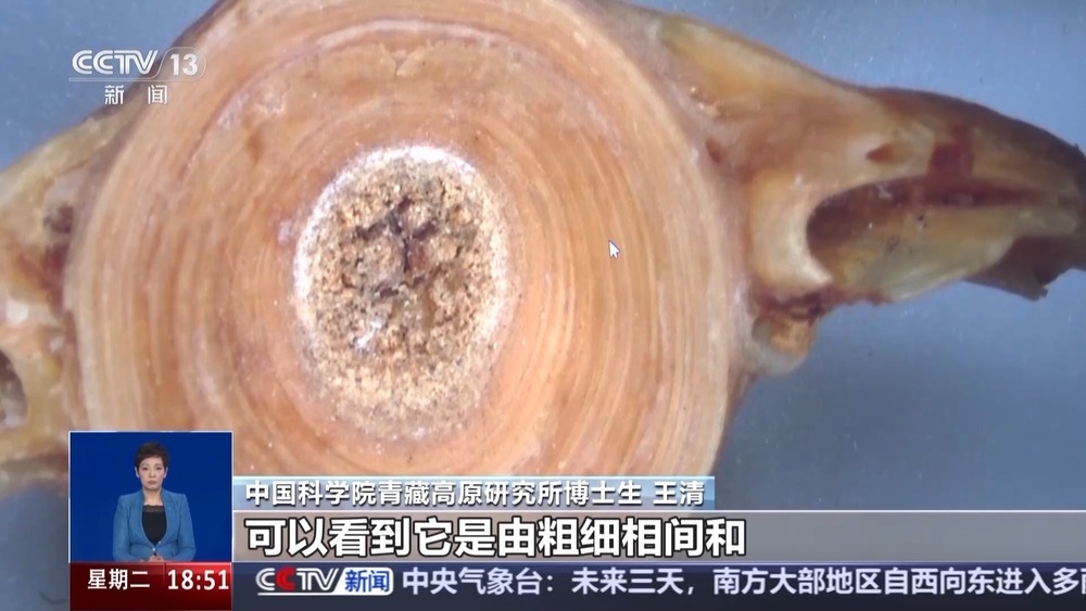 看科技考古如何还原“世界屋脊”西藏玛不错先民生活 看科技考古如何还原“世界屋脊”西藏玛不错先民生活