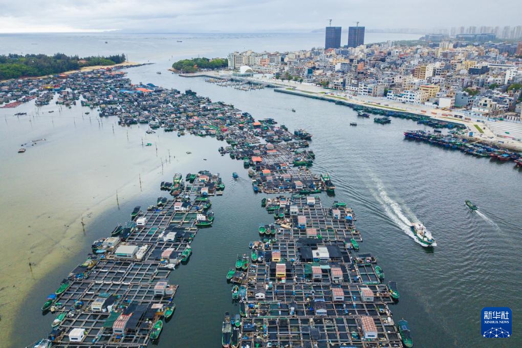 文化中国行丨以船为家 向海而生——博物馆里的海南疍家文化