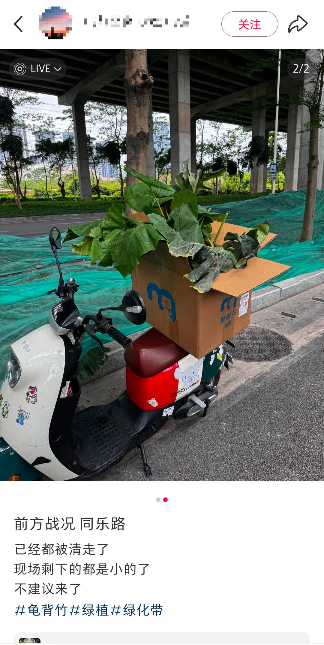 不要捡，不要摘，不要吃！官方提醒→