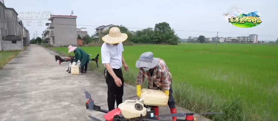 科技赋能农业生产“加速跑” 希望的田野描绘多彩丰收图景 科技赋能农业生产“加速跑” 希望的田野描绘多彩丰收图景