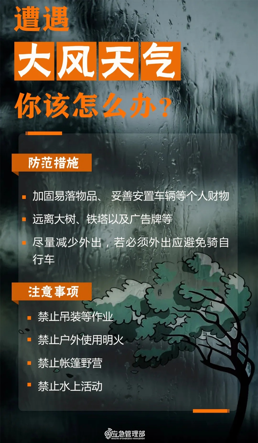 沈阳发布预警！中雨+局地雷电短时强降水！这些事必须注意！