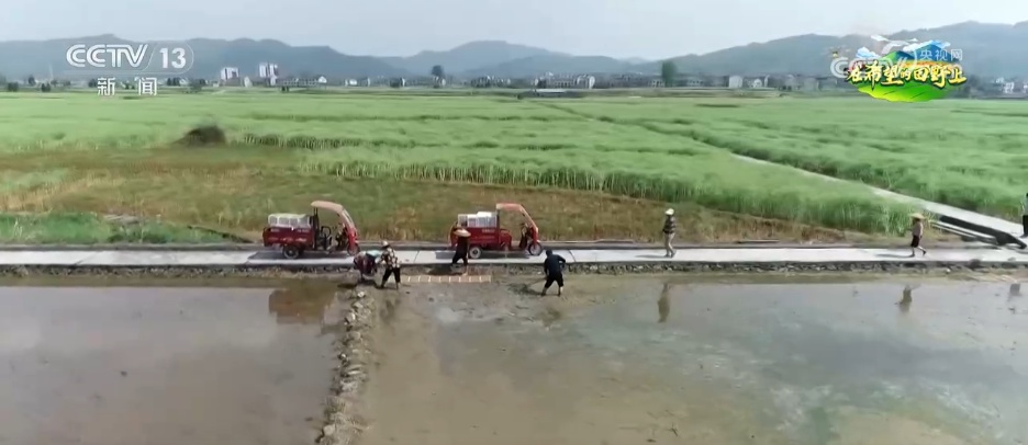 科技赋能农业生产“加速跑” 希望的田野描绘多彩丰收图景 科技赋能农业生产“加速跑” 希望的田野描绘多彩丰收图景