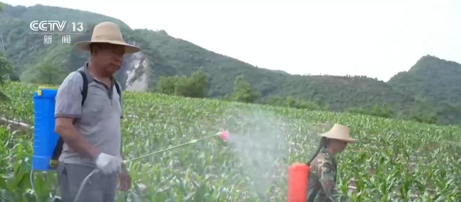 打好抗旱保供“组合拳” 全力守护群众生产生活用水安全