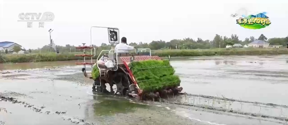 科技赋能农业生产“加速跑” 希望的田野描绘多彩丰收图景 科技赋能农业生产“加速跑” 希望的田野描绘多彩丰收图景