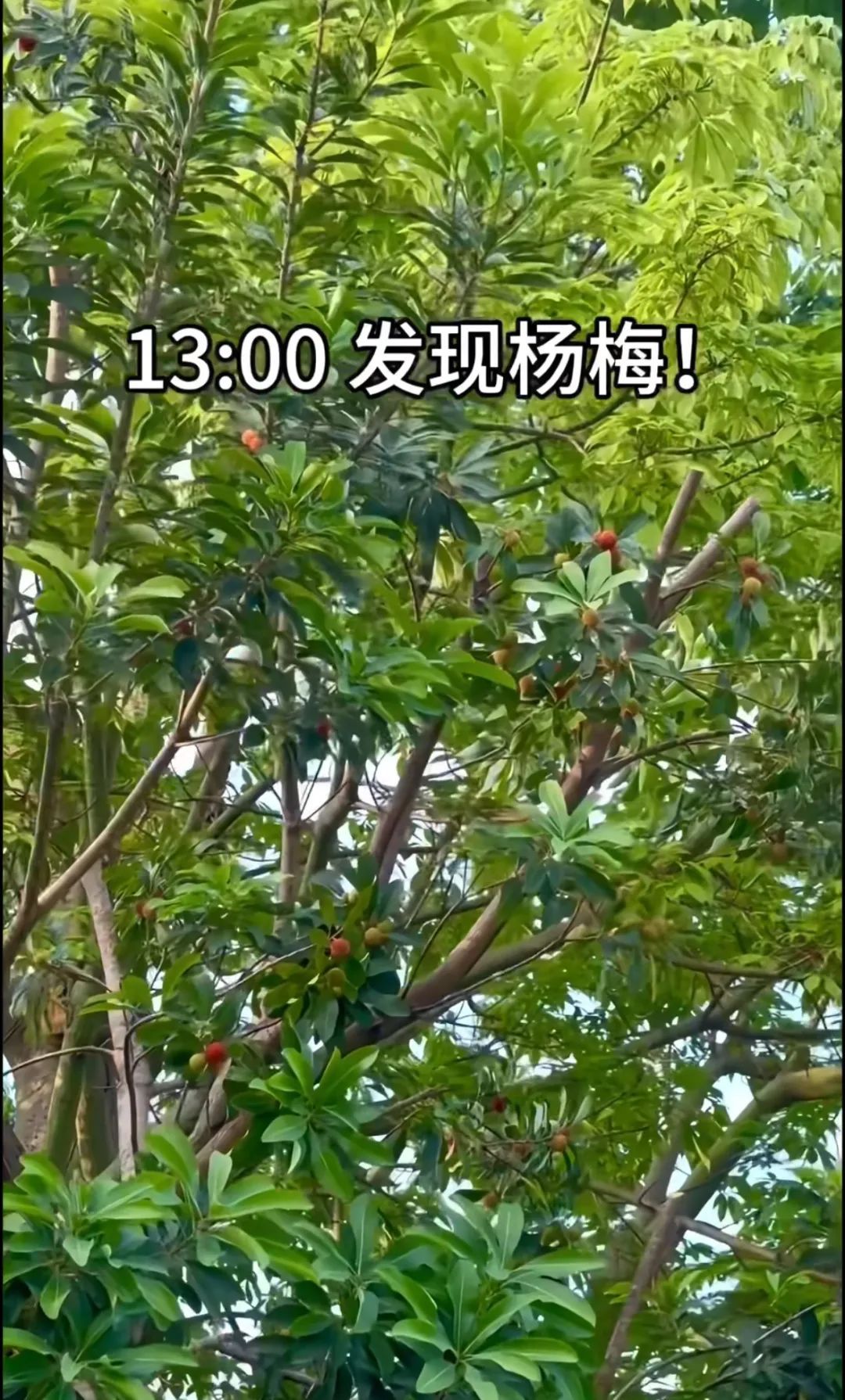 不要捡，不要摘，不要吃！官方提醒→