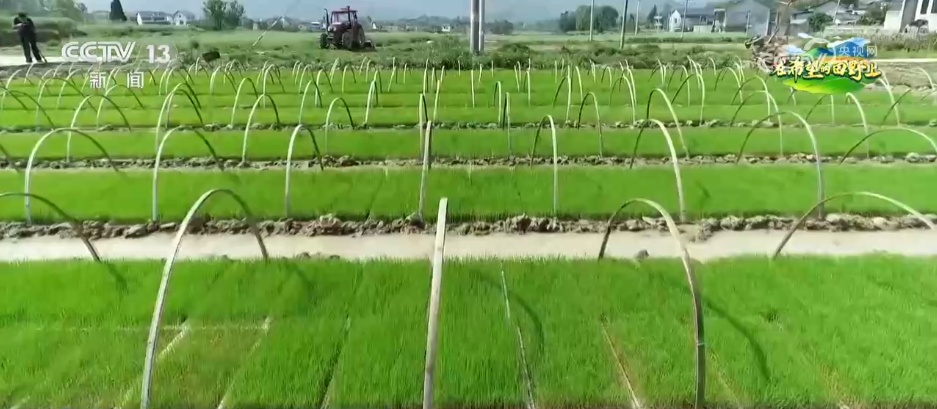 科技赋能农业生产“加速跑” 希望的田野描绘多彩丰收图景 科技赋能农业生产“加速跑” 希望的田野描绘多彩丰收图景