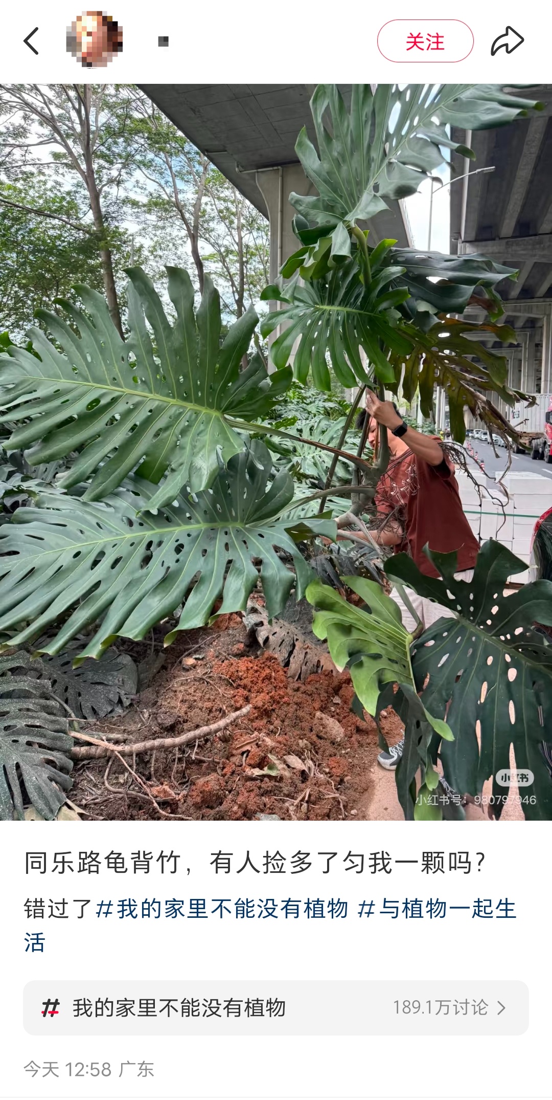 不要捡，不要摘，不要吃！官方提醒→