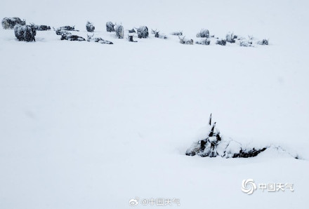 青海玉树多彩乡遭遇强降雪