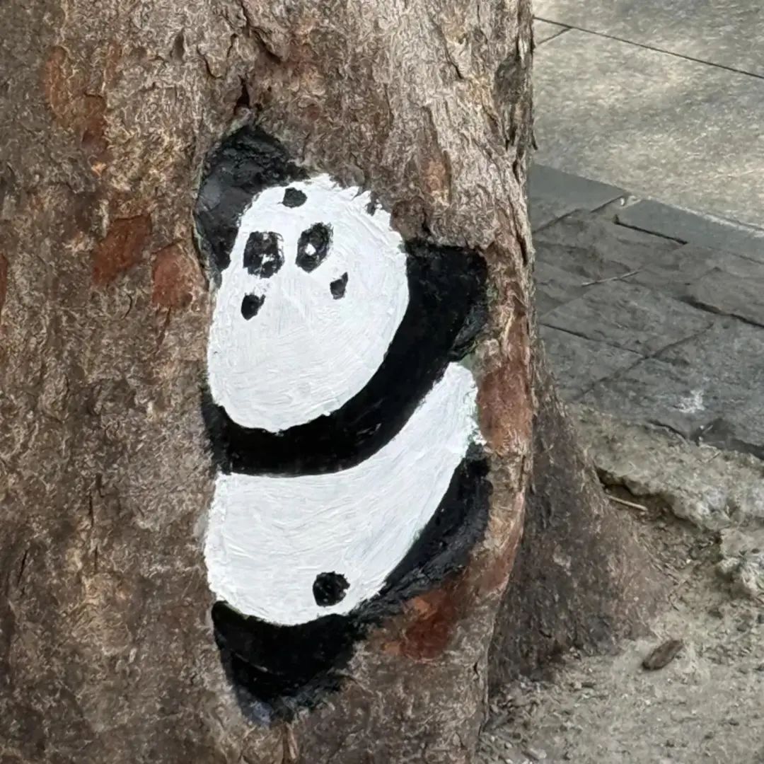 敲可爱！上海市中心这座公园，树上竟"长"出了动物→