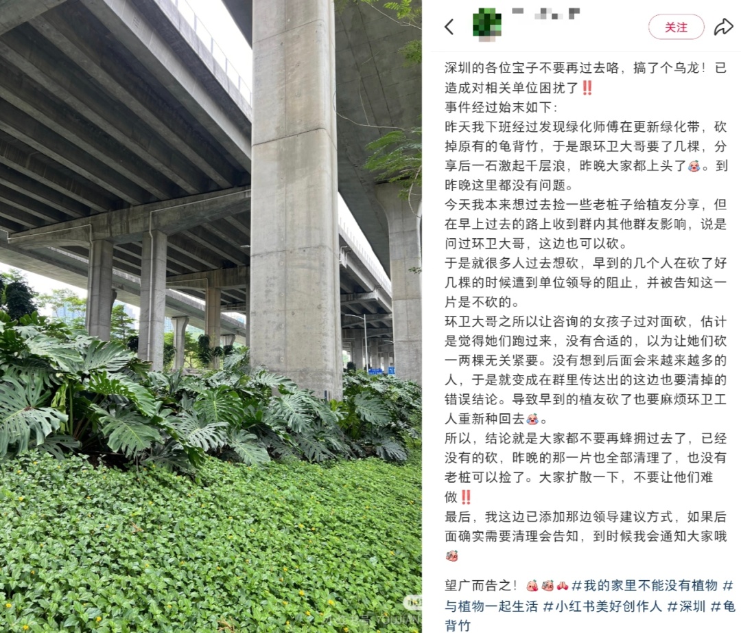 不要捡，不要摘，不要吃！官方提醒→