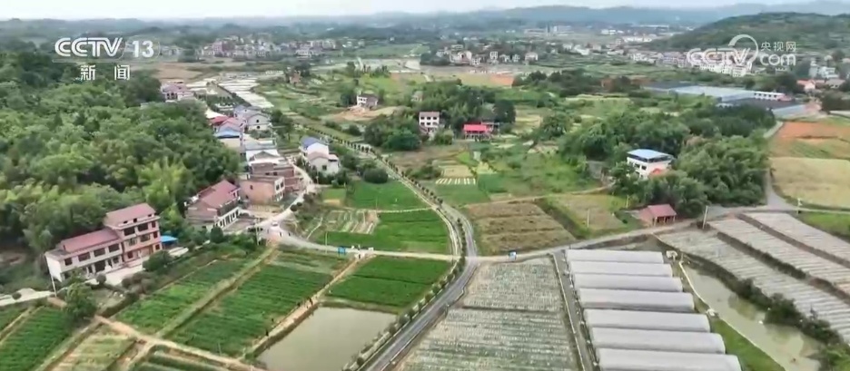 从 “靠天收” 到 “靠智管”,他扎根科研一线让玉竹产业大放光彩 从 “靠天收” 到 “靠智管”,他扎根科研一线让玉竹产业大放光彩