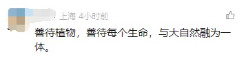 敲可爱！上海市中心这座公园，树上竟"长"出了动物→
